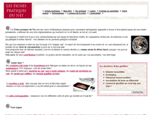 Tablet Screenshot of fiches-pratiques.net